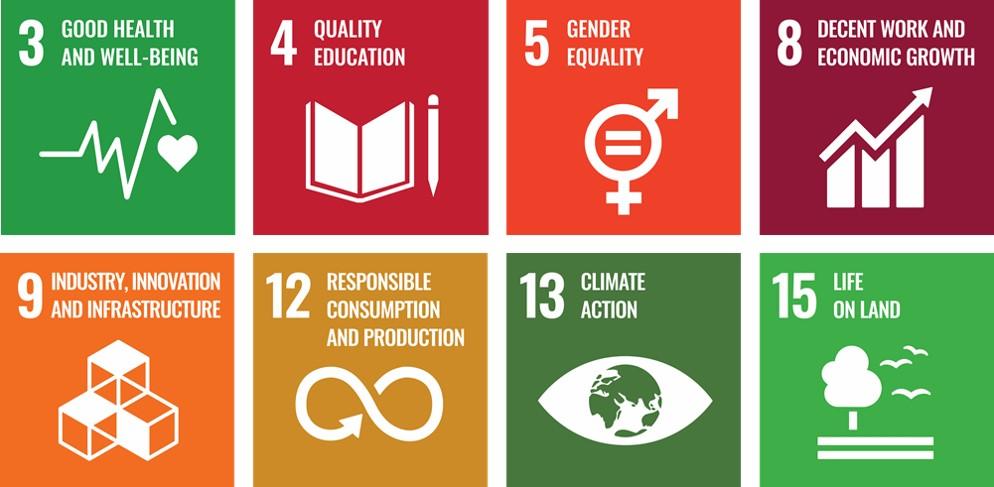 The eight United Nations sustainable development goals that Keller impacts: Good health and wellbeing;Quality education; Gender equality; Decent work and economic growth; Industry innovation and infrastructure; Responsible consumption and production; Climate action; Life on land