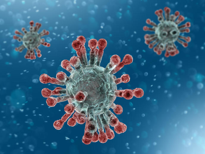 Corona virus