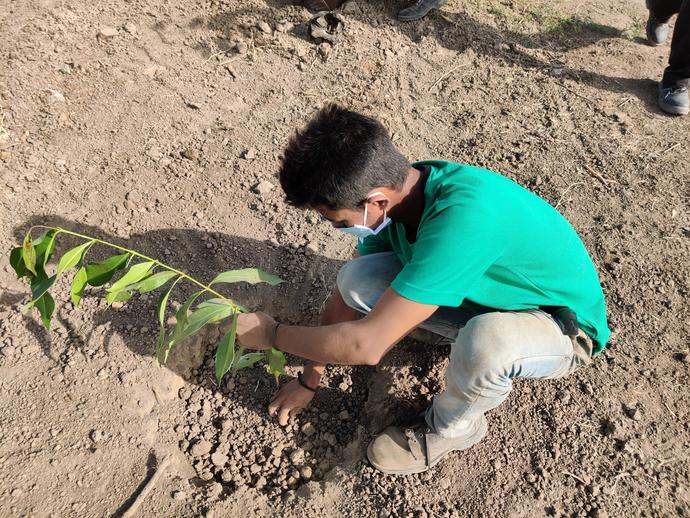 Planting trees in Keller India