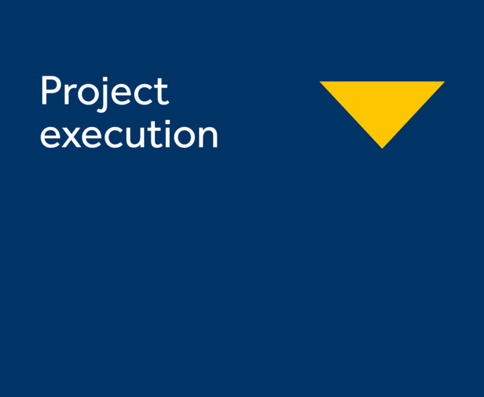 Project execution