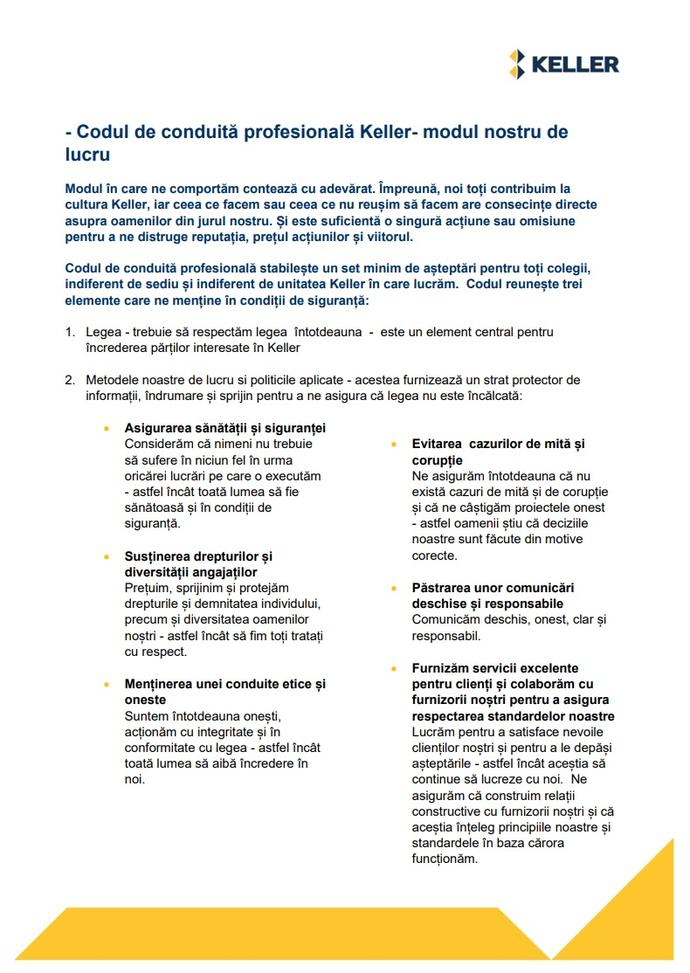 Code of Business Conduct summary - Romanian