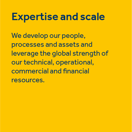 Expertise and scale